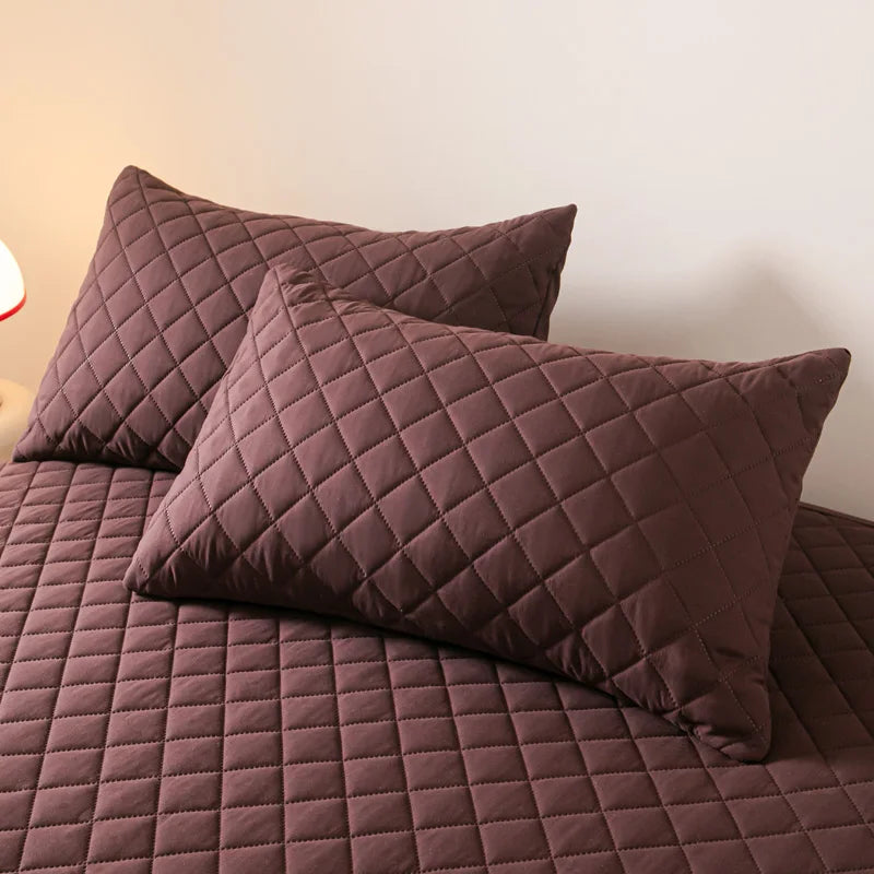 Protège oreiller imperméable et antibactérien