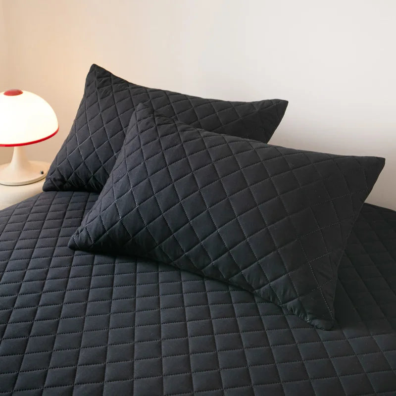 Protège oreiller imperméable et antibactérien