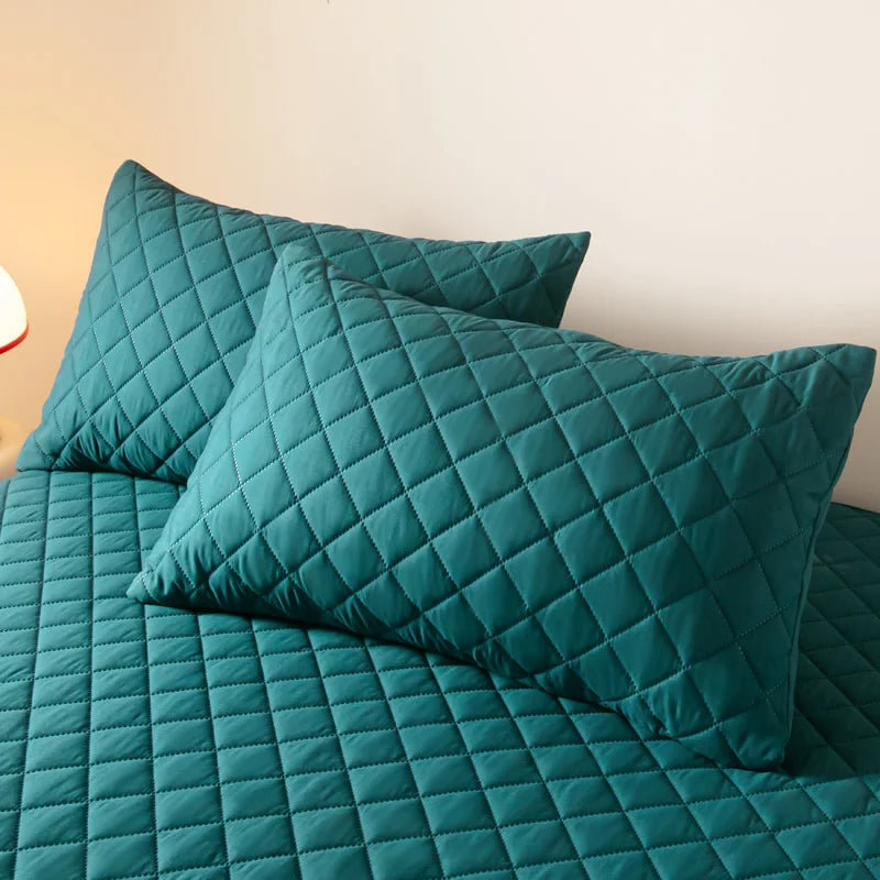 Protège oreiller imperméable et antibactérien